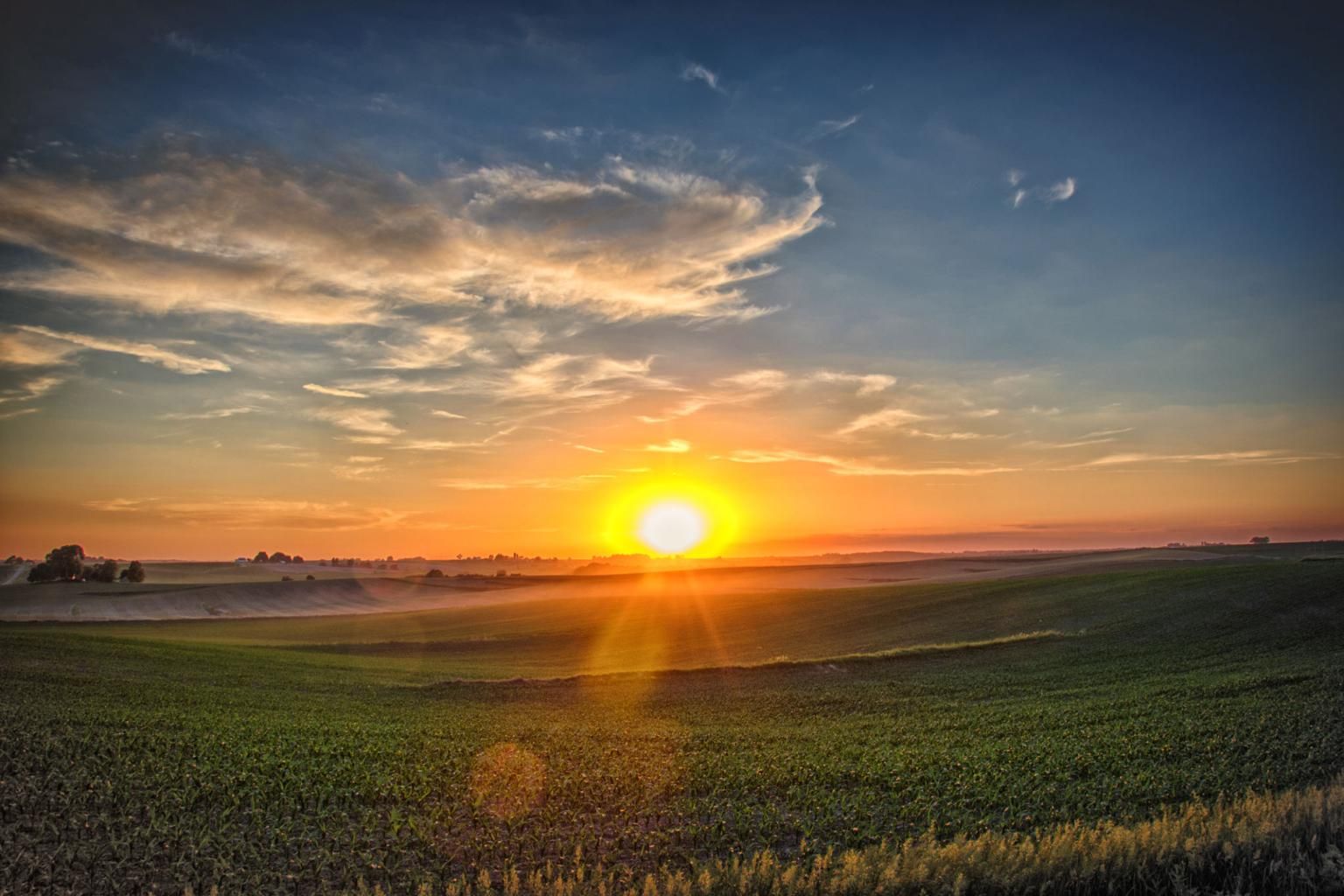 1773095066892 1773095066892