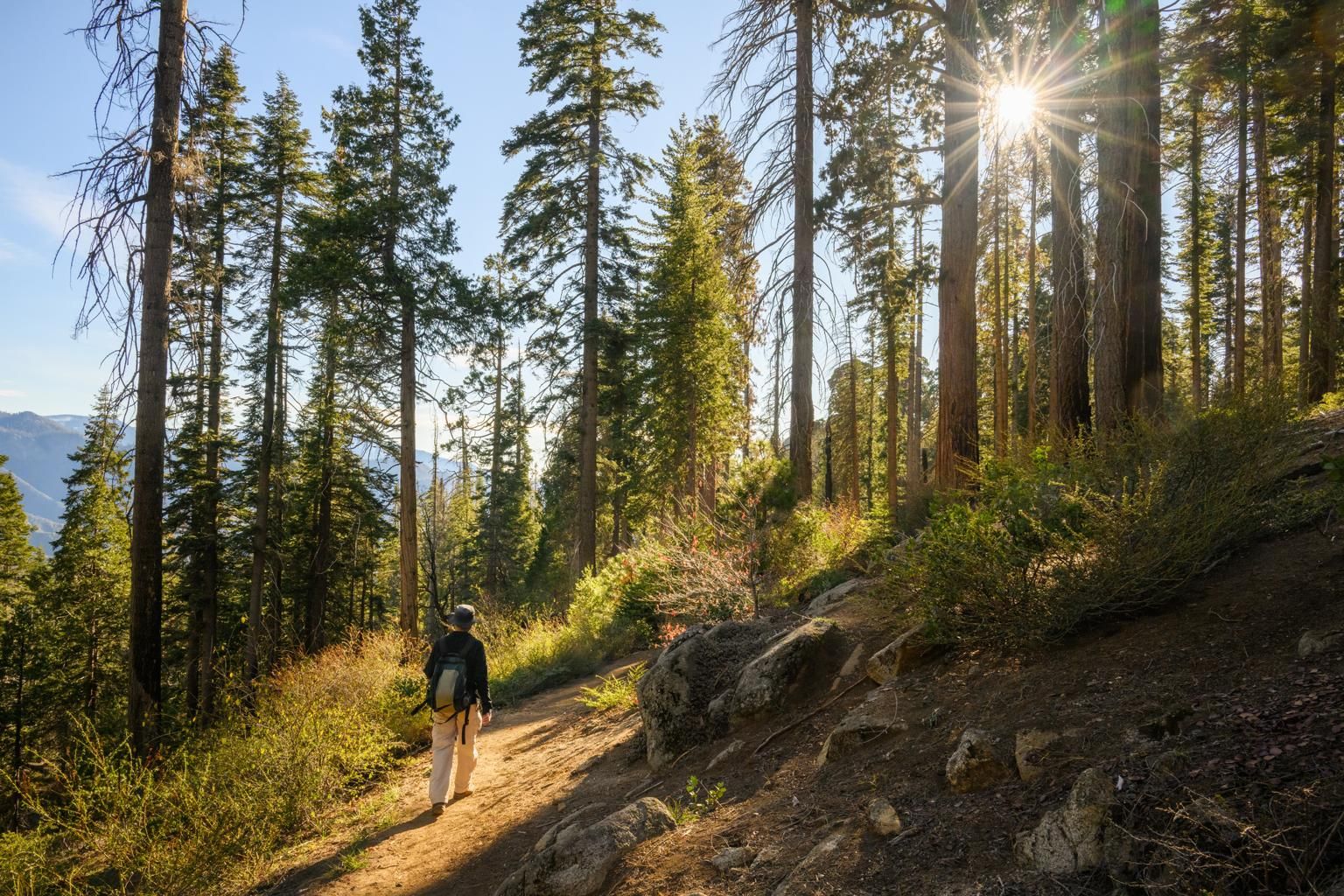 1773158237777 1773158237777